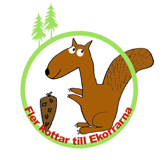 Fler kottar till Ekorrarna !